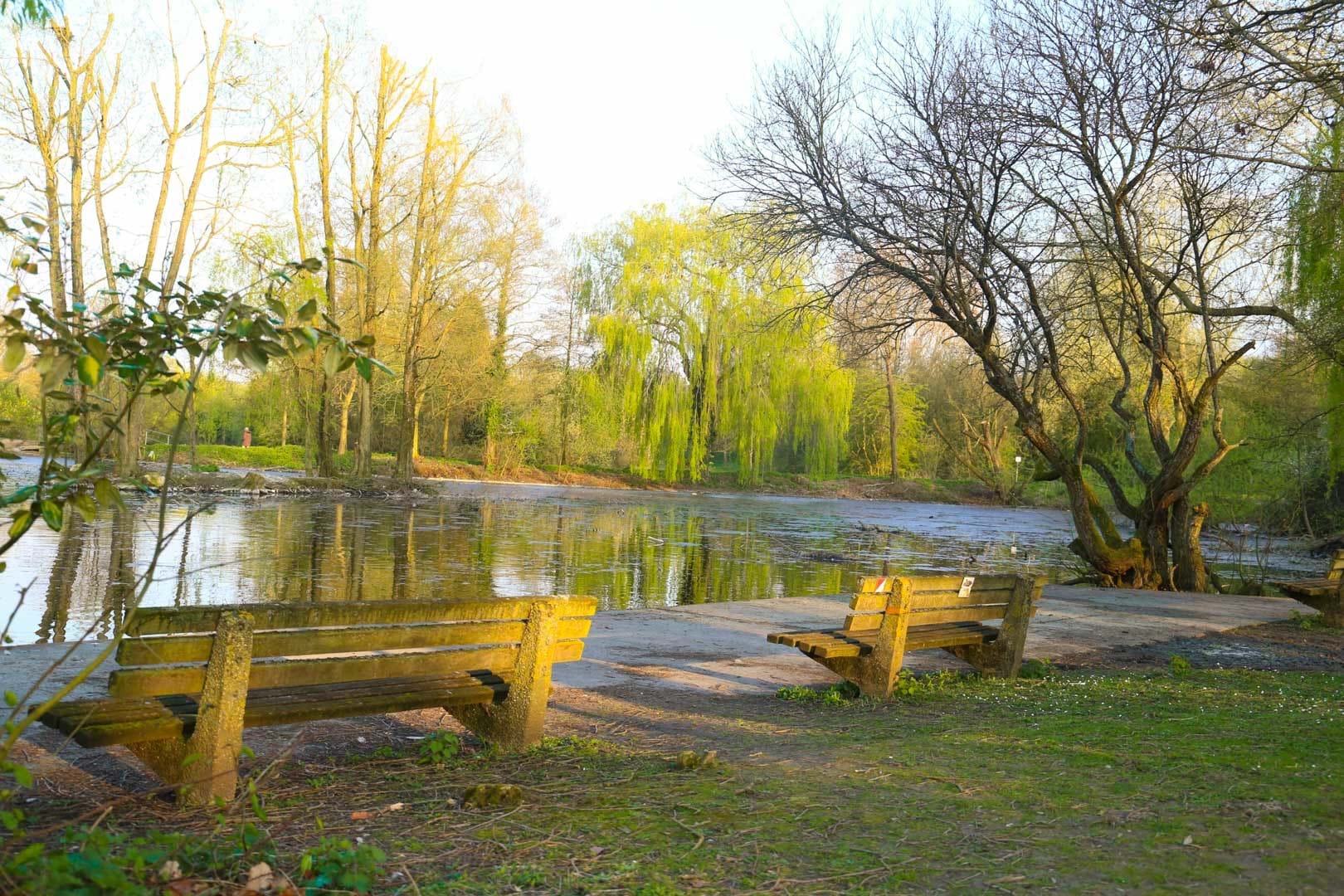 Charlton Lakeside benches and lake